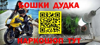 индика Ливны