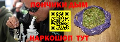 индика Ливны