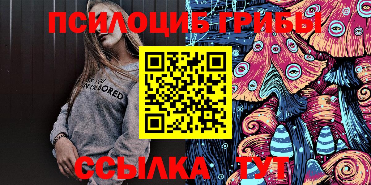 Псилоцибиновые грибы Psilocybe Звенигород