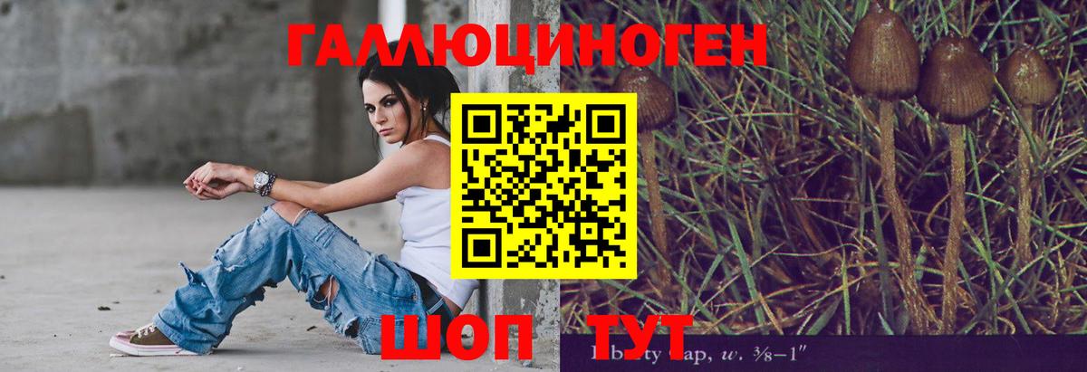 Псилоцибиновые грибы Psilocybine cubensis  Вход с VPN  Галлюциногенные грибы Magic Shrooms  Звенигород 